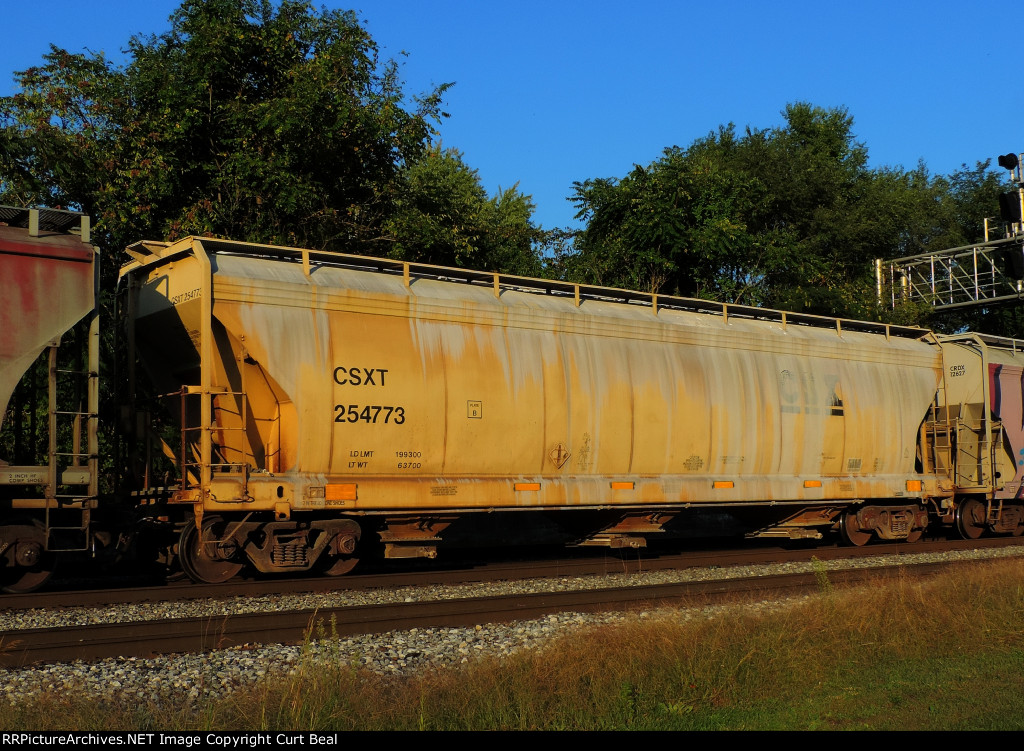 CSX 254773